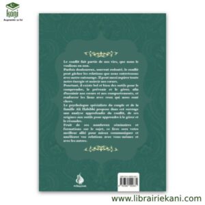 GESTION DES CONFLITS – Image 2