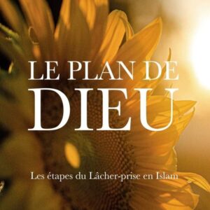 Le Plan De Dieu Tome 2